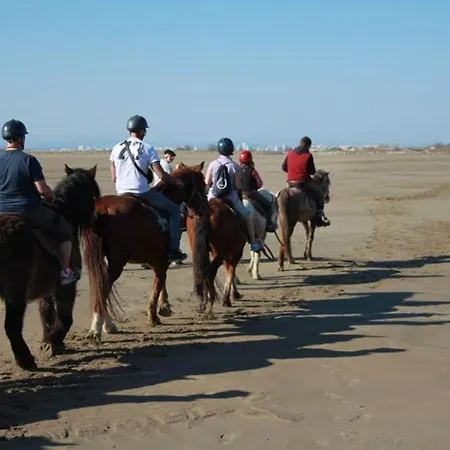 Climatise Proche Avec Parking Prive, Piscines Et Jardins D'enfants - Fr-1-307-258 Apartment Le Grau-du-Roi